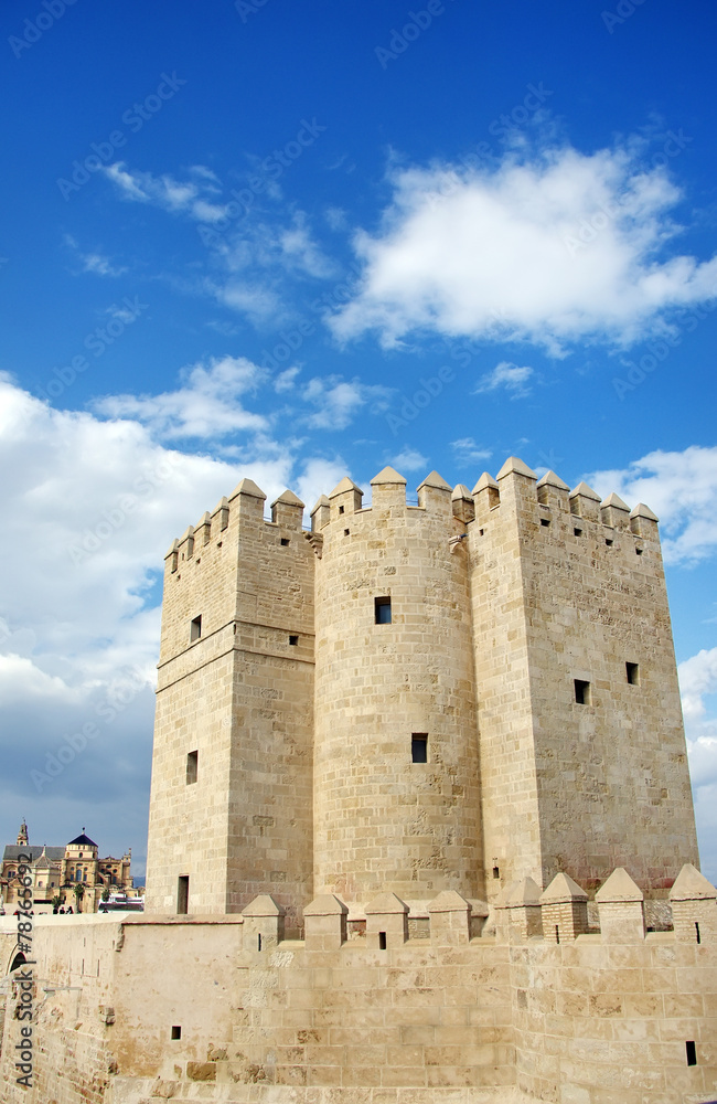 Calahorra Tower in Cordoba, Andalusia, Spain