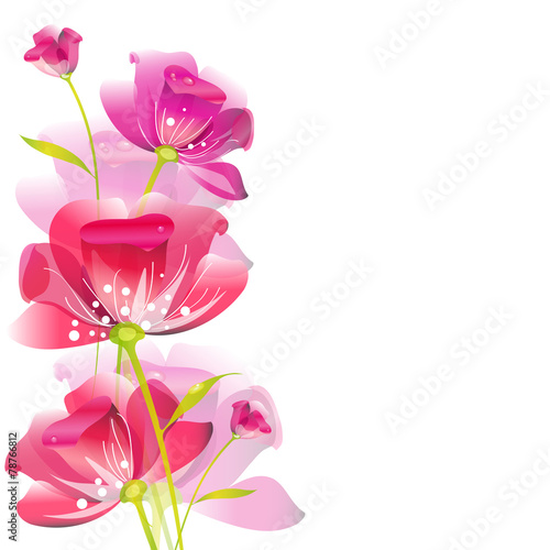 floral design © aboard