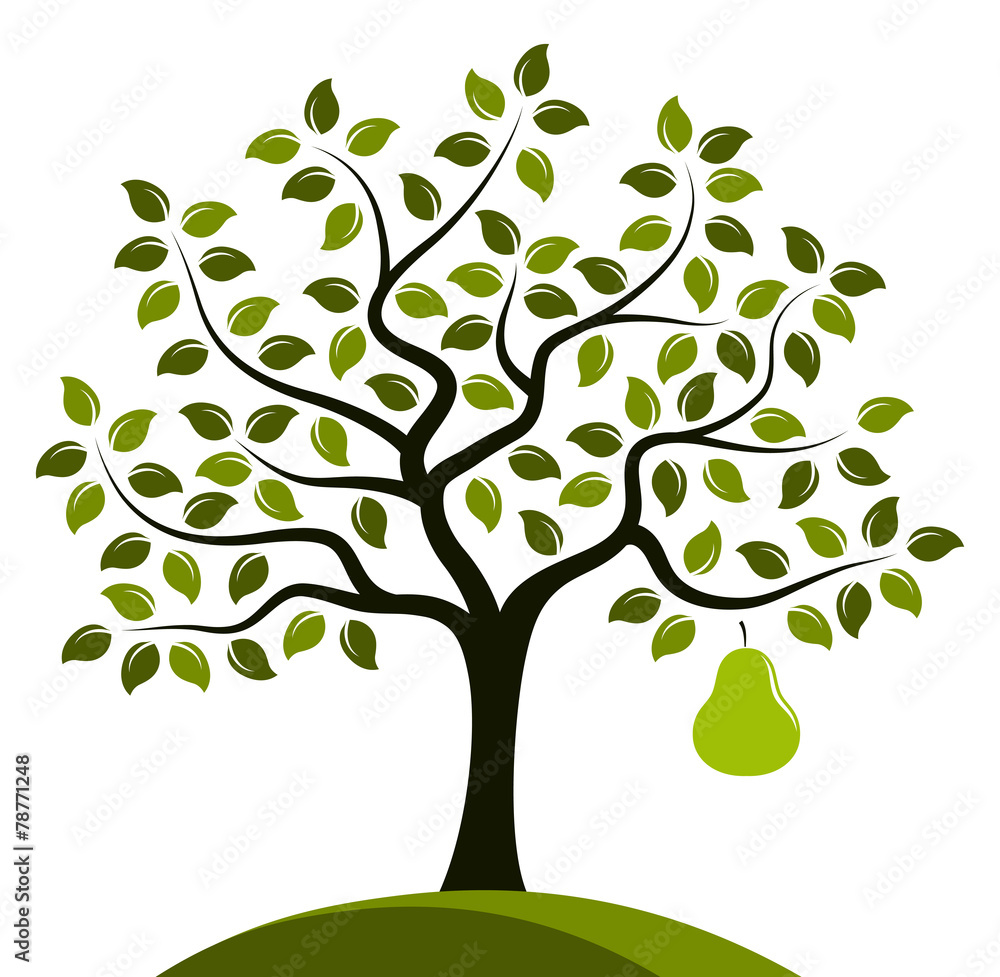 Obraz premium pear tree