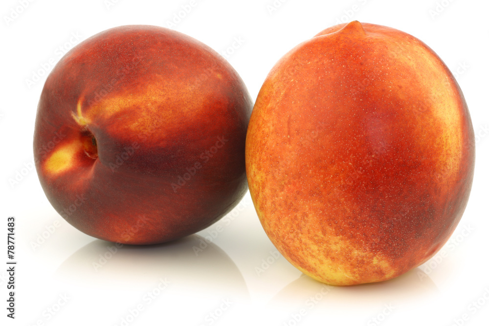 two fresh nectarines on a white background two fresh nectarines on a white background