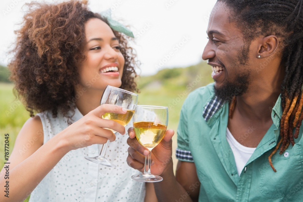 Young couple on a picnic drinking wine Young couple on a picnic drinking wine