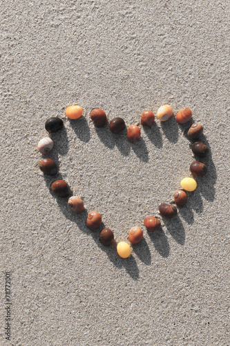 Herz aus Muscheln