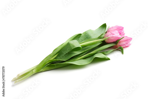 Beautiful bouquet of tulips on a white background