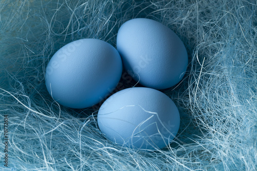 Three blue Easter eggs in the nest