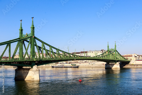 Liberty Bridge in Budapest  Hungary