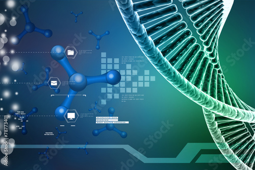 model of twisted chrome DNA chain