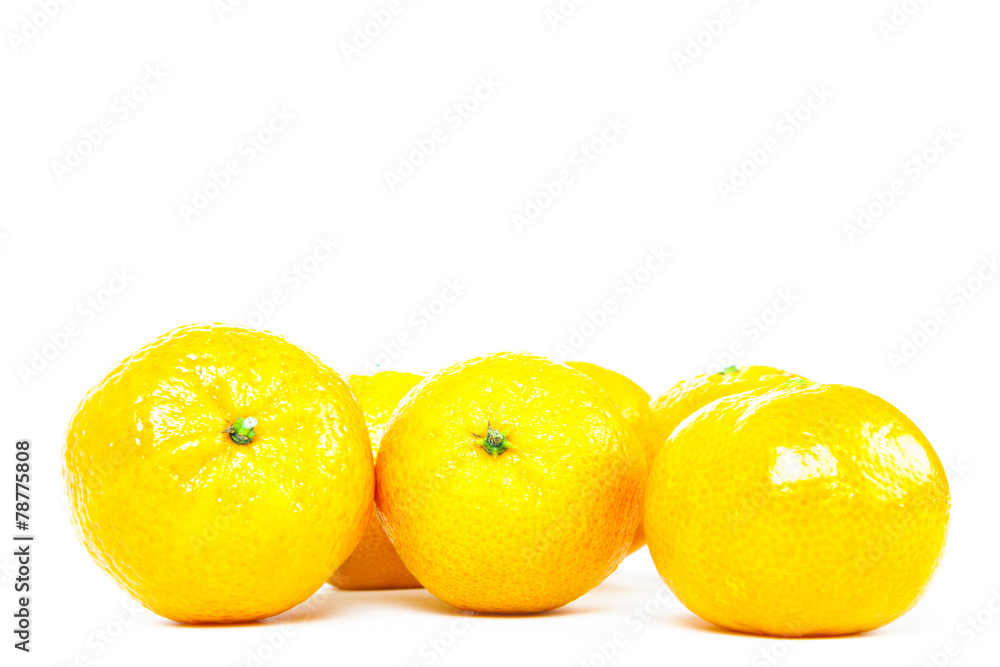 oranges on white background oranges on white background