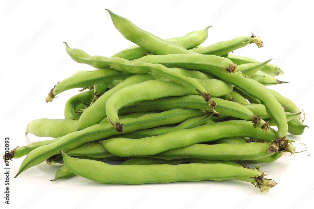 bunch of broad beans on a white background bunch of broad beans on a white background