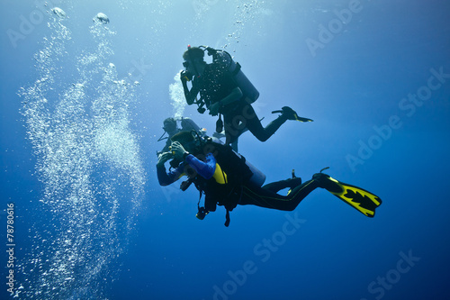 Divers on the blue background
