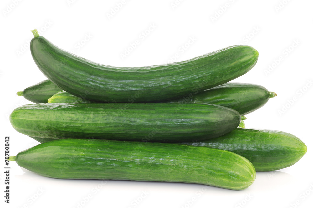 bunch of fresh cucumbers on a white background bunch of fresh cucumbers on a white background