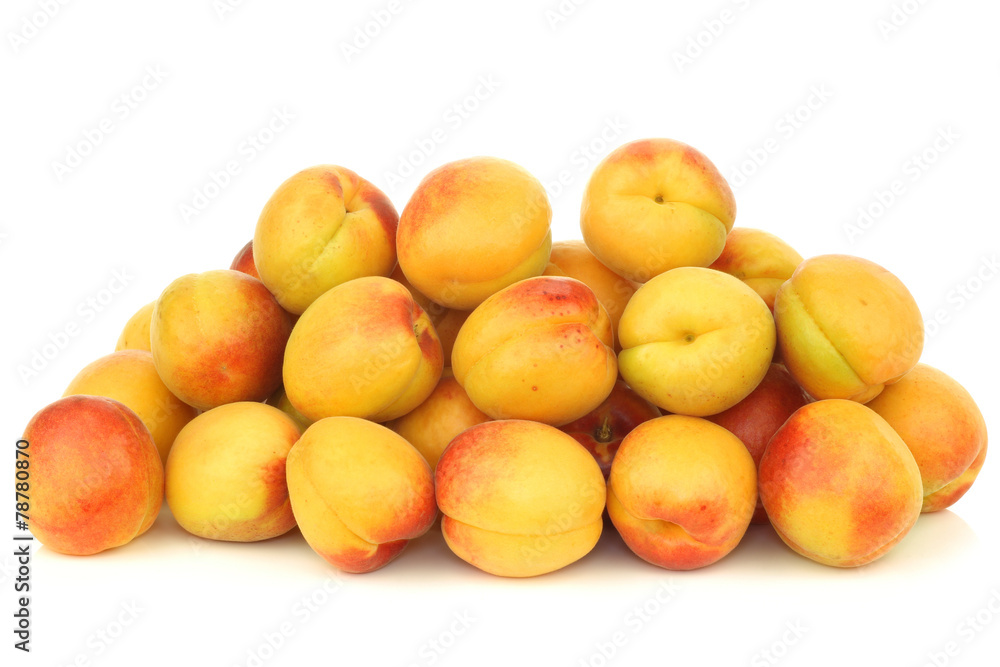 fresh colorful apricots on a white background fresh colorful apricots on a white background