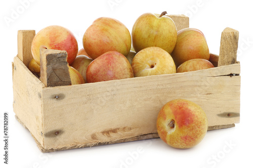 Fresh pluots (Prunus salicina x armeniaca) in a wooden crate photo