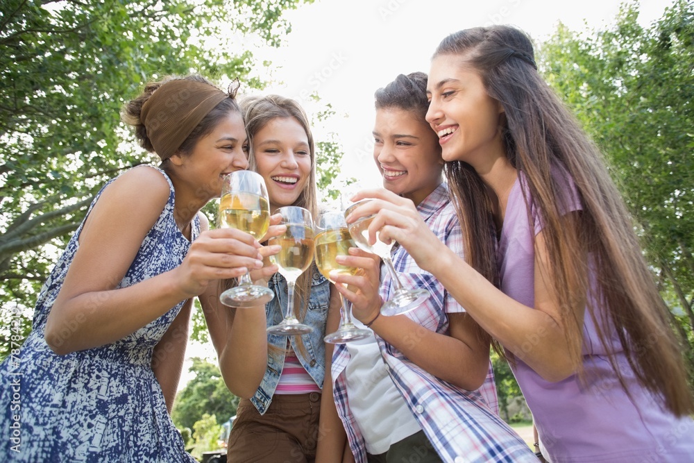 Fototapeta premium Happy friends in the park having wine