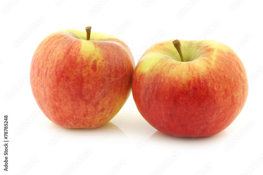 New Dutch apple variety called New Dutch apple variety called