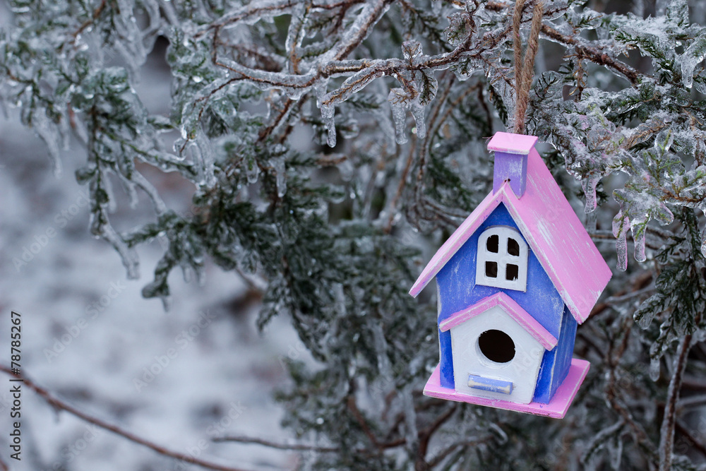 Colorful birdhouse hanging on ice covered tree branches