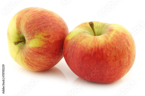New Dutch apple variety called "Dalinco" on a white background