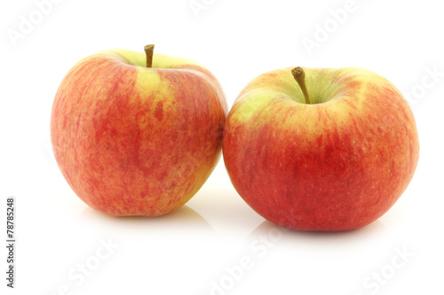 New Dutch apple variety called "Dalinco" on a white background