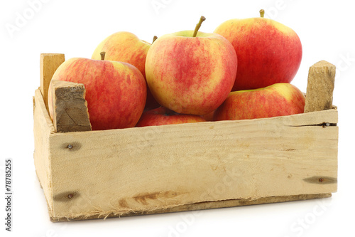 New Dutch apple variety called "Dalinco" in a wooden crate 