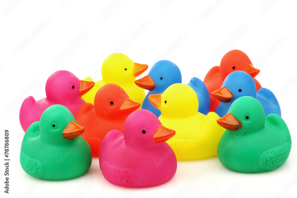 colorful plastic ducklings on a white background colorful plastic ducklings on a white background