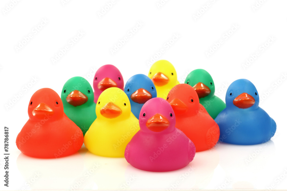 colorful plastic ducklings on a white background colorful plastic ducklings on a white background