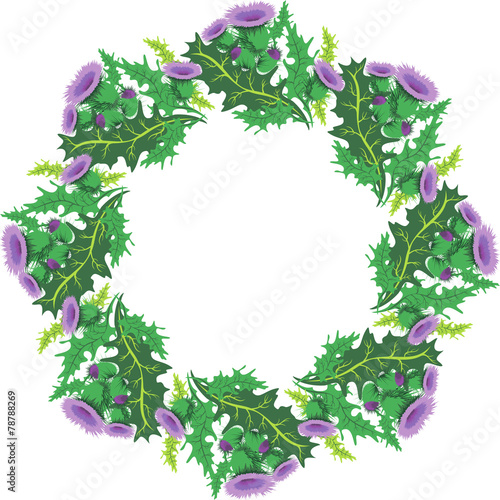 vector image beautiful round vignette of flowers thistle