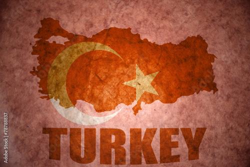vintage turkey map