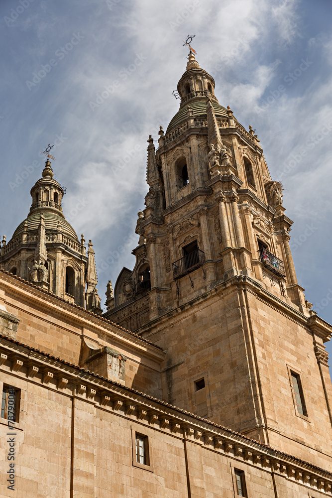 Vista de la Clerecia en Salamanca