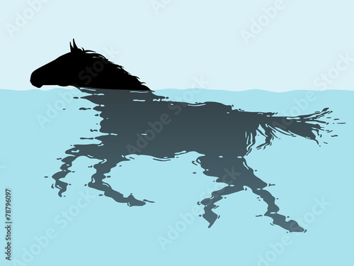 Swimming horse