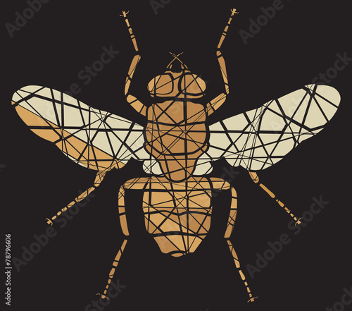 Fly mosaic