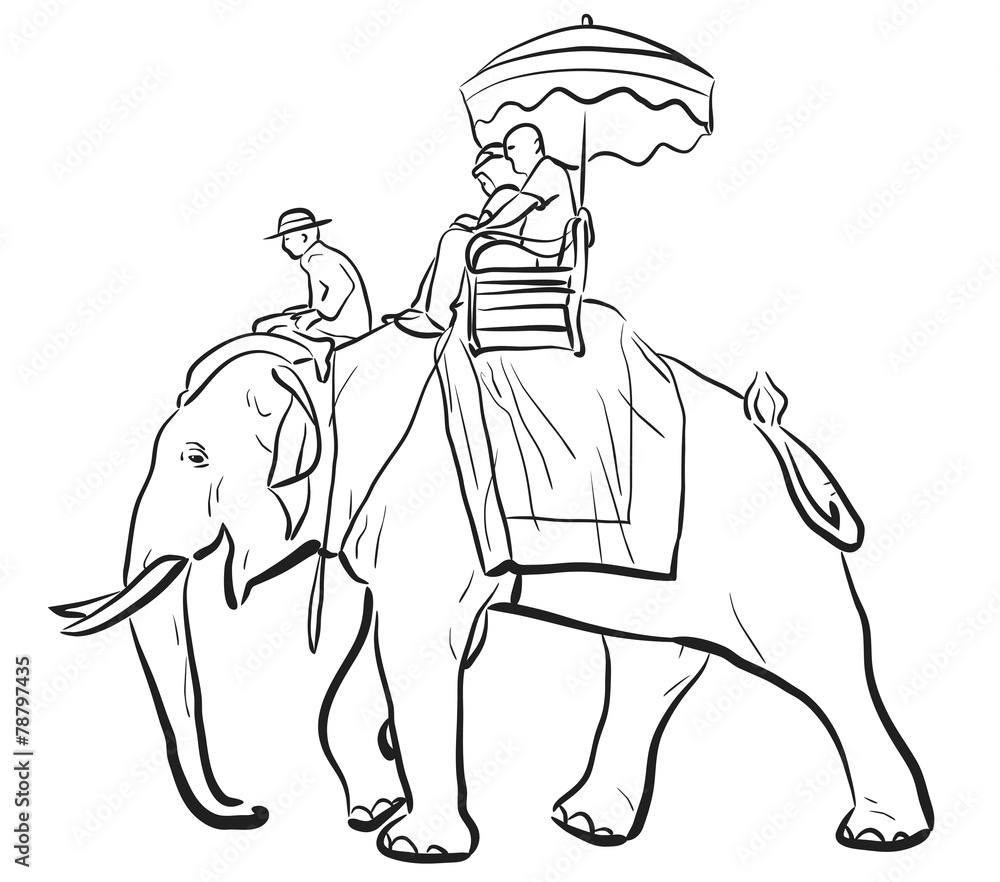 Elephant riding sketch Stock Vector Adobe Stock