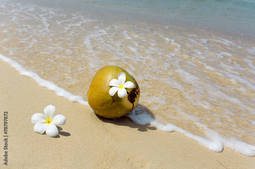 Naklejka premium Coconut on the beach.