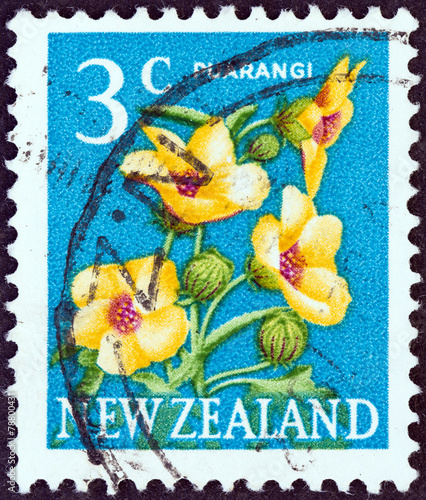 Puarangi Hibiscus flowers (New Zealand 1967) photo