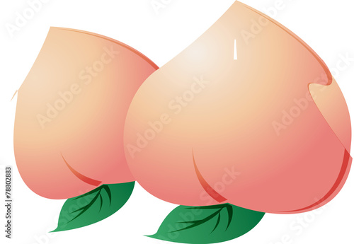 식물이미지