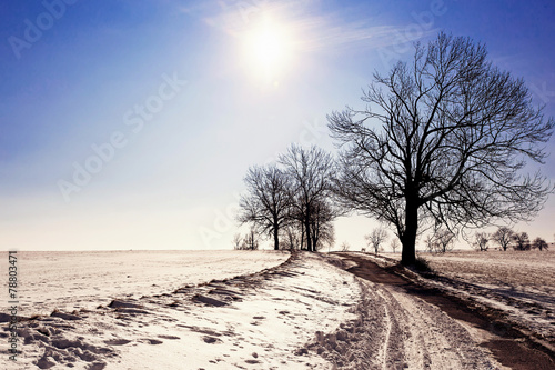 winter landscape with road and trees, blue sky and sun