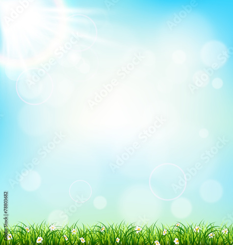 Green grass lawn with chamomiles on blue sky. Floral nature spri