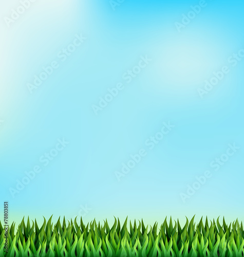 Green grass lawn on blue sky. Floral nature spring background