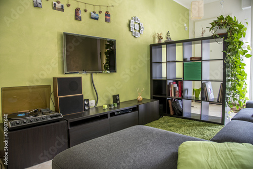Quadro em tela salotto verde