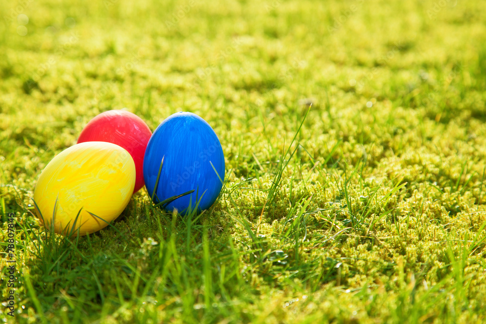 Easter eggs lying on meadow.