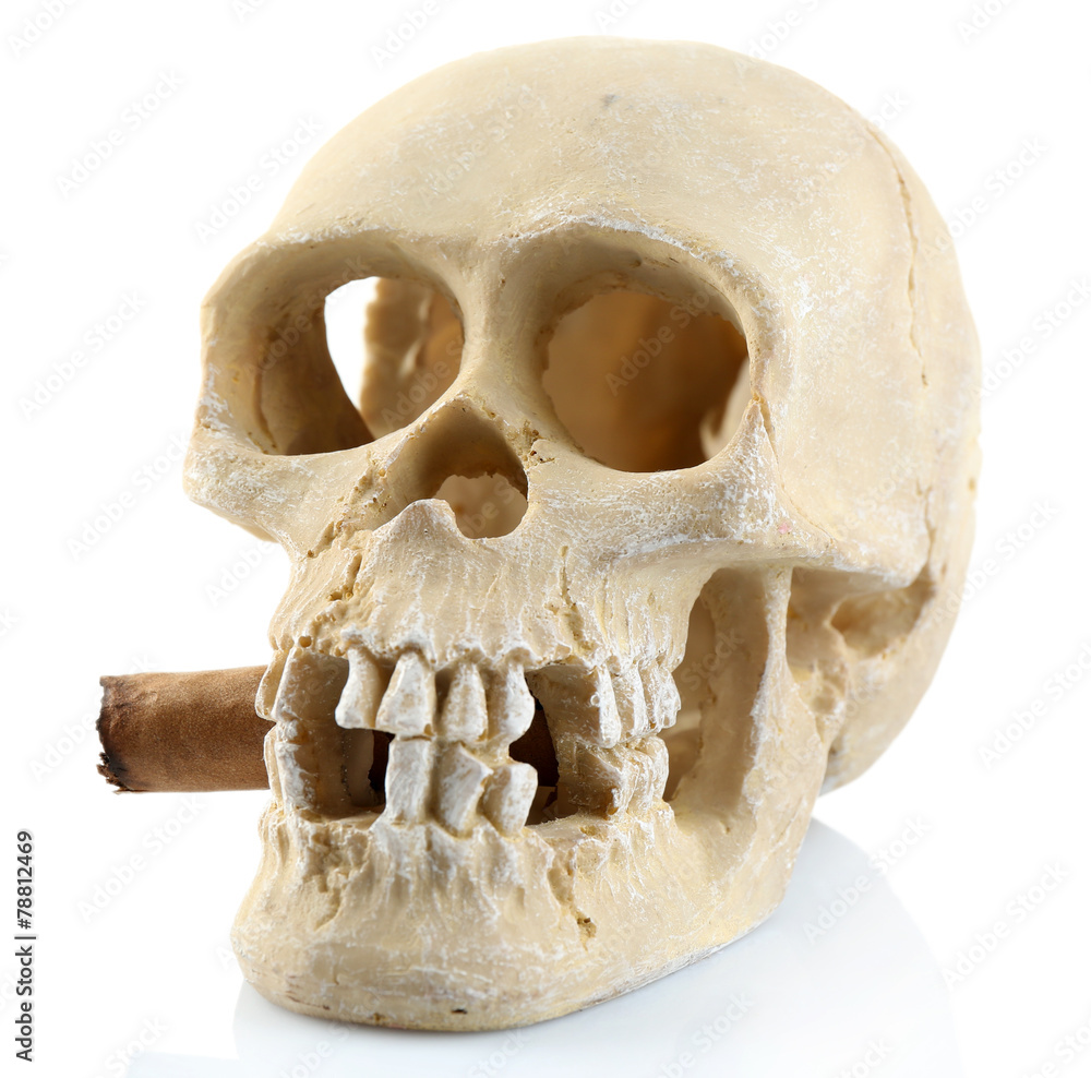 Smoking human scull with cigar in his mouth, isolated on white Smoking human scull with cigar in his mouth, isolated on white