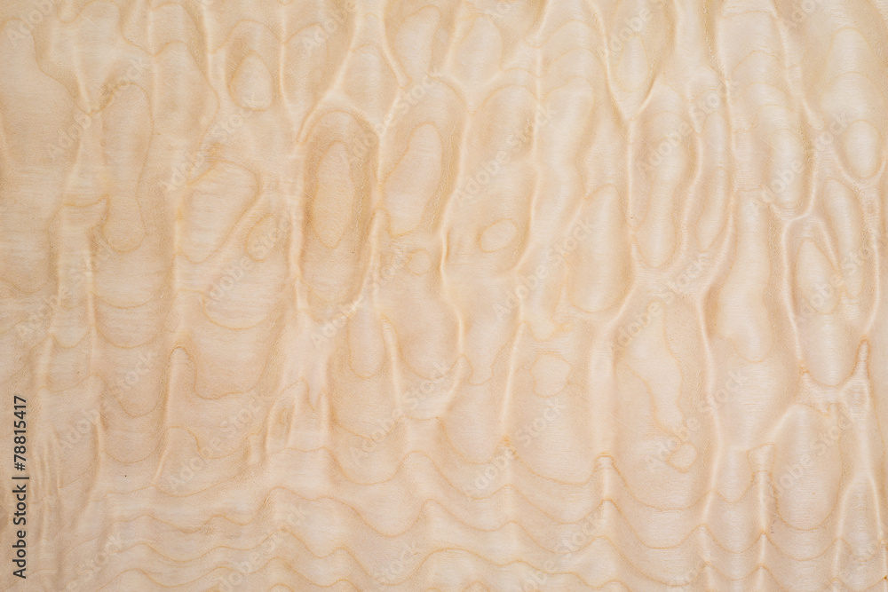 Fototapeta premium Texture of Quilted Maple