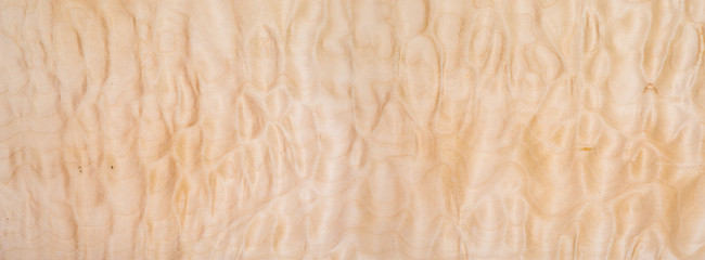Texture of Quilted Maple