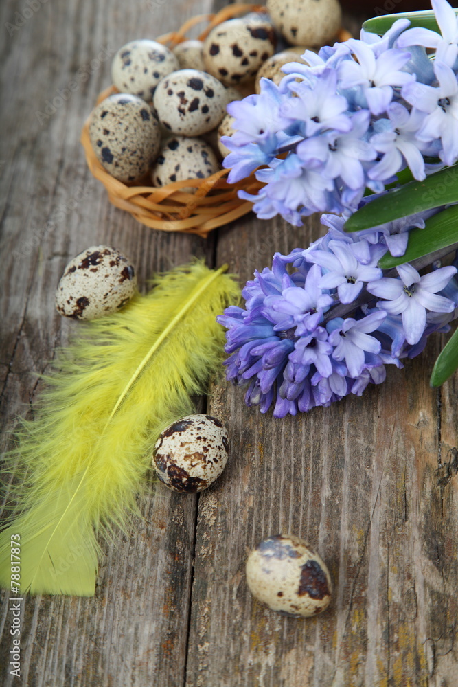 Easter composition with quail eggs and hyacinth Easter composition with quail eggs and hyacinth
