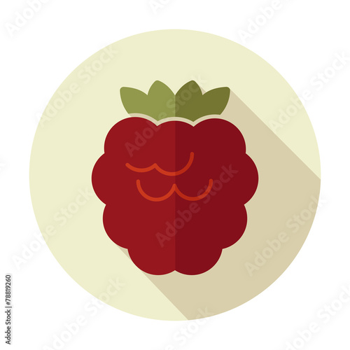 Raspberry flat icon with long shadow