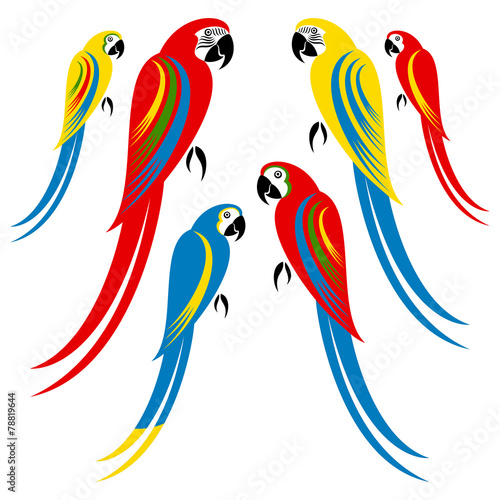 Macaw