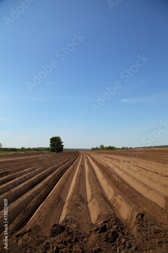 Obraz na płótnie Plowed field in spring day w salonie