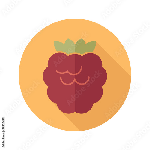 Raspberry flat icon with long shadow