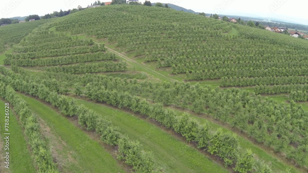 Aerial view of village with wineyards Aerial view of village with wineyards