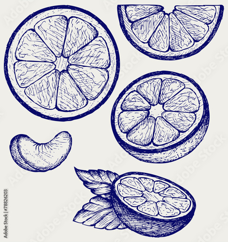 Oranges fruits with green leaves and slices