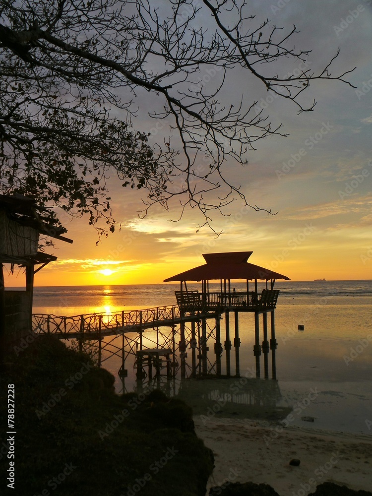 Fototapeta premium The magic hour