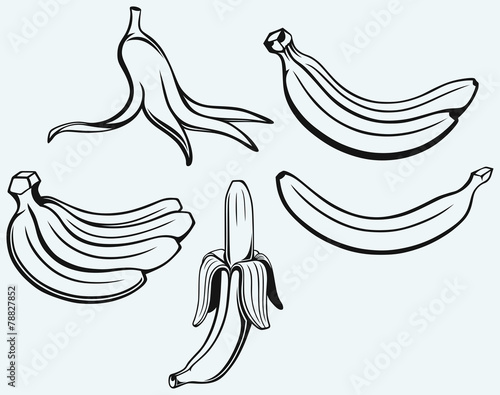 Bunch of bananas, peeled banana and banana peel